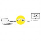 ROLINE 12.03.3136 :: 4K DisplayPort-DVI адаптер, DP M - DVI F