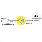 ROLINE 12.03.3225 :: Type C - Mini DisplayPort адаптер, v1.2, M/F