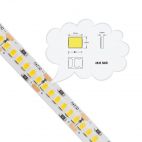 LED лента, 3500K, 240 LEDs/м, 24W/м, 24V, IP20, 10 мм, 5.0 м