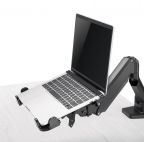 MANHATTAN 462211 :: Adjustable VESA Mount Laptop Holder, VESA, 11-17", VESA:75x75, 100x100, black 